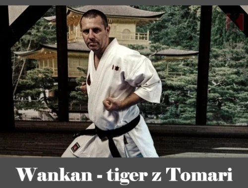 obrázok- karate kata Wankan