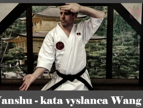 obrázok- karate kata Wanshu