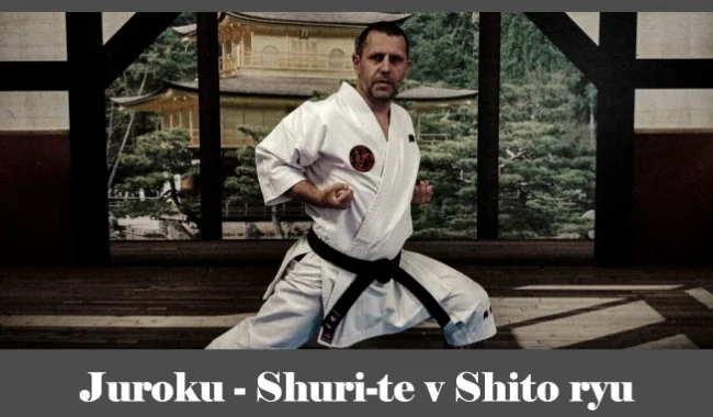 obrázok- karate kata Juroku