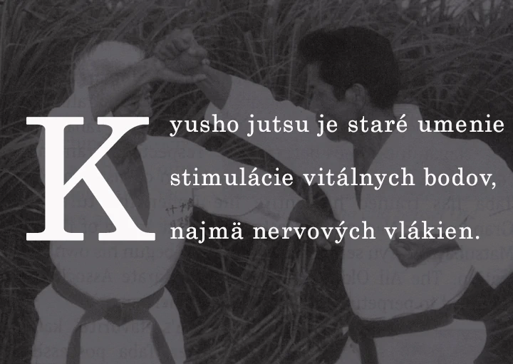 obrázok kyusho jutsu je založené na technikách Bieleho žeriava