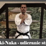 obrázok- karate kata Tsuki-naka