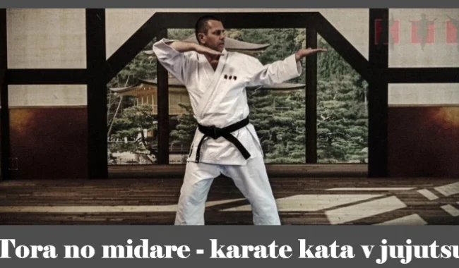obrázok- karate kata Tora no midare
