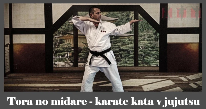 obrázok- karate kata Tora no midare