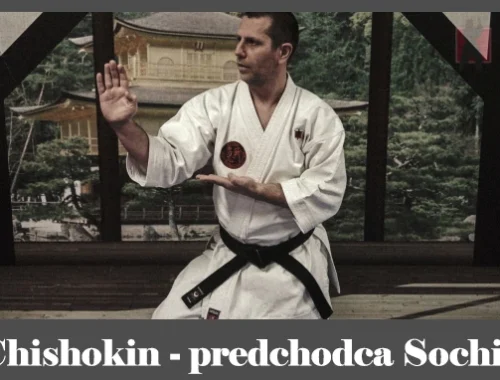 obrázok- karate kata Chishokin