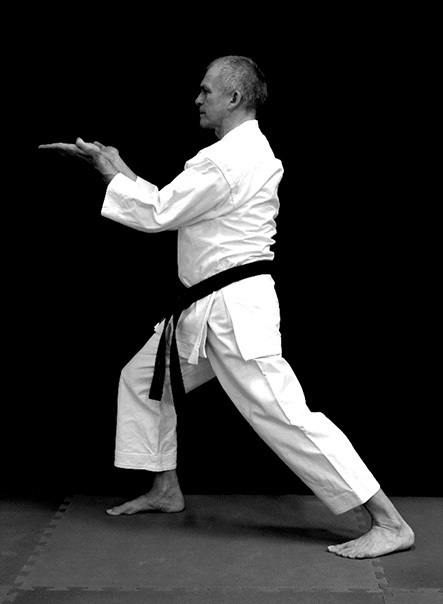 pozícia z karate kata Hakutsuru no Rokkishu
