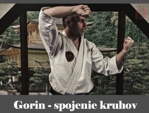 obrázok- karate kata Gorin